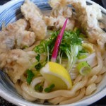 高津　讃岐うどん 白庵