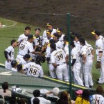 聖地　阪神甲子園球場　阪神タイガース2011（07/29 横浜戦）