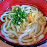 京都　うどん　京都のおうどん屋さん　たなか家