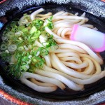 兵庫・加西　うどん　がいな製麺所 加西店