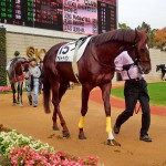 京都・淀　散歩　競馬　京都競馬場