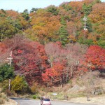 北近畿・北陸　2014 冬旅行 ⑥　敦賀～三方五湖