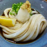 堺東　うどん　堺うどん ちはや