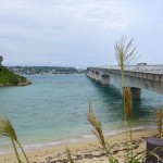 虎キチ 2015秋 沖縄旅行 (13) 今帰仁村　古宇利島