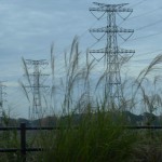 2016秋 虎キチ 旅行記  東北・福島（１０）双葉郡　福島第一原子力発電所