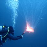 2017 初夏 虎キチ 旅行記 in 鹿児島（７）スキューバダイビング　ＳＢ