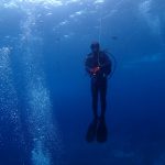 2018 夏　虎キチ 旅行記 in バリ島 （４）ダイビング  poni divers