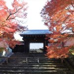 京都　紅葉 比叡山 真如堂 下鴨神社