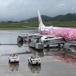 虎キチ 2020【JUNE-3】旅行記（13）JGC 南ぬ島 石垣空港