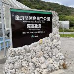 虎キチ 2020【NOV-２】旅行記（11）沖縄・渡嘉敷島→阿嘉島→那覇