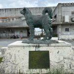 虎キチ 2022【NOV】旅行記　沖縄（11）渡嘉敷島～阿嘉島～那覇