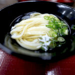 2025【SEP】旅行記 (4) 香川・丸亀（宇多津） 讃岐うどん 山とも